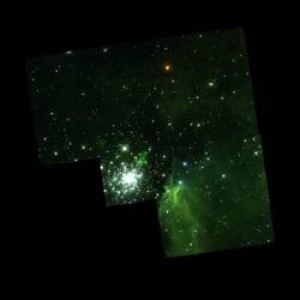 Velocidades Inesperadas en Estrellas de un Cúmulo Estelar