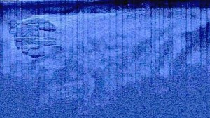 Comienza la búsqueda del 