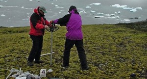 Científicos Consternados: Musgo Antártico Resucita tras 1.500 Años Congelado