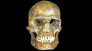 Descubren Linaje Humano Desconocido