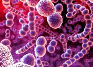 Las Bacterias del Infierno