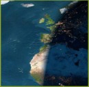 ¿Oscurecimiento Global?